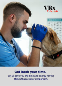 VRX V-Scripts Magazine Pages