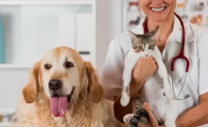 Dog-and-cat-examined - E-Prescribing For Veterinarians Pets Loving