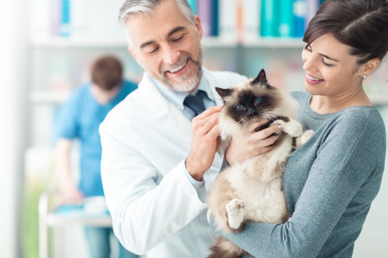The Future of Veterinary e-Prescribing Is Here